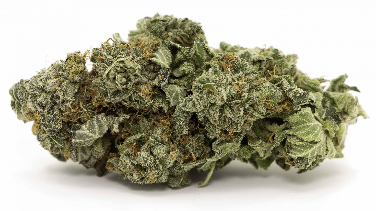 5 Strongest Marijuana Strains in 2022: Which are the Highest in THC?