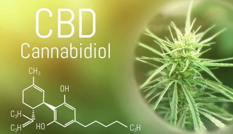 Best CBD Oil For High Blood Pressure (Hypertension) In 2021